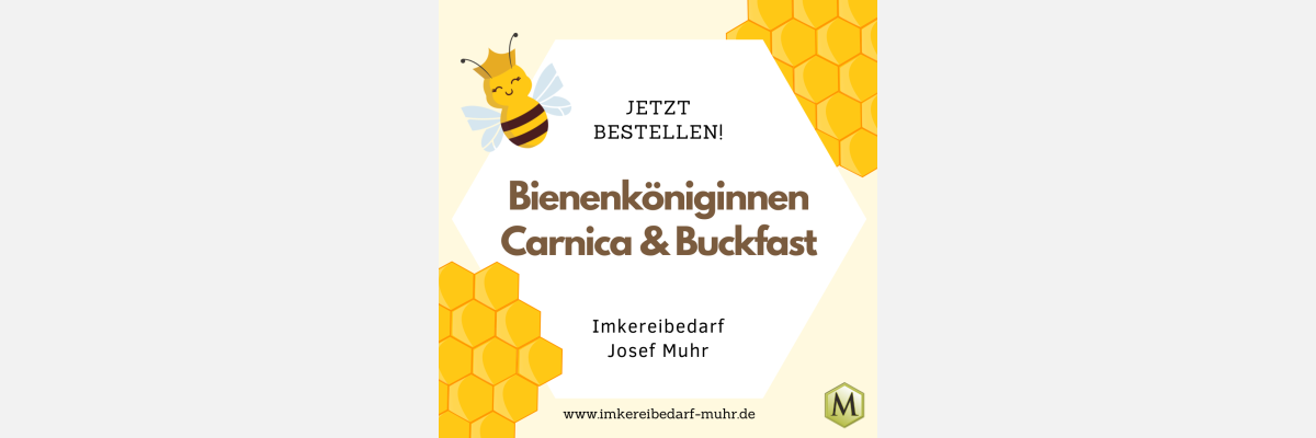 Jetzt bestellen! Bienenköniginnen Carnica und Buckfast - Jetzt bestellen! Bienenköniginnen Carnica und Buckfast