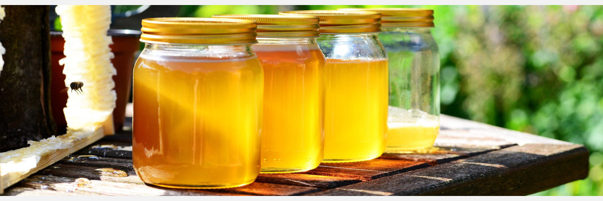 Flüssiges Gold: Wissenswertes rund um hochwertige Honige - Honig von Muhr - Wissenswertes rund um den Honig