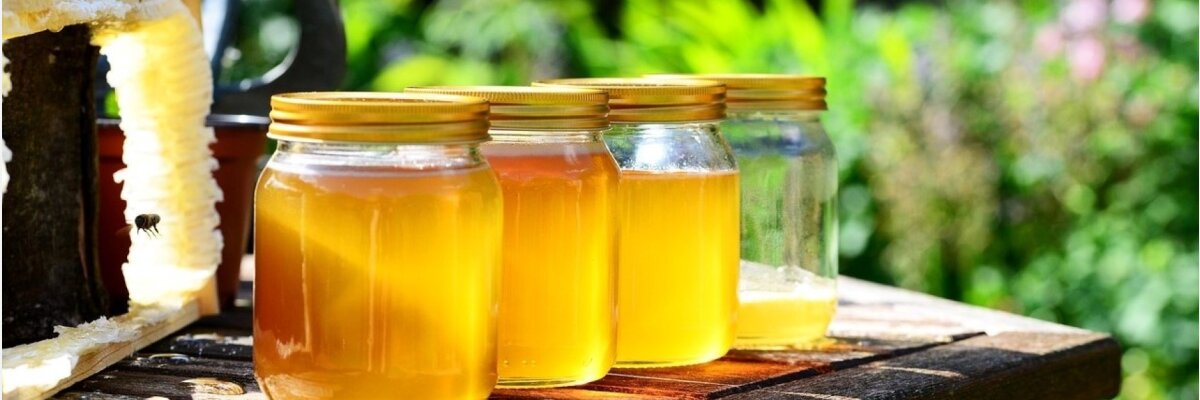 Hilfsmittel für die Honigernte &amp; Honigbearbeitung - Hilfsmittel für die Honigernte &amp; Honigbearbeitung