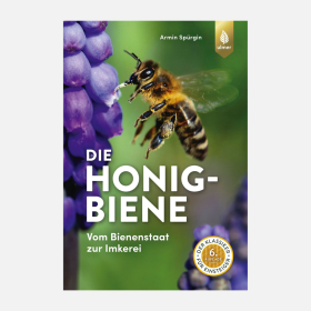 Die Honigbiene, Spürgin