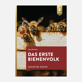 Das erste Bienenvolk Schritt für Schritt, Riondet