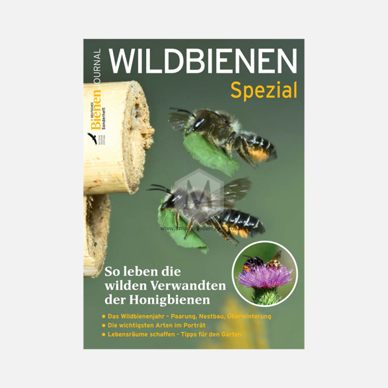 Bienenjournal Spezial Wildbienen Sonderheft 68 Seiten 