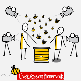Armbruster Imkerschule Livekurs für Anfänger Blick ins Bienenvolk