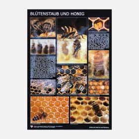 Poster "Blütenstaub und Honig"